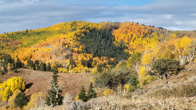 Willow Creek Canyon Trail Review Photo