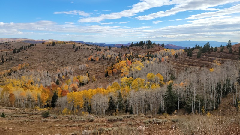 Willow Creek Canyon Trail Review Photo