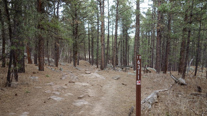 Bogus Jim Branch 1 Trail Review Photo