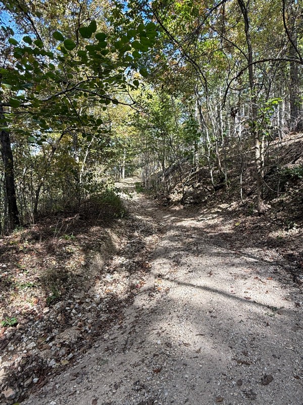 Radium Springs Trail Review Photo