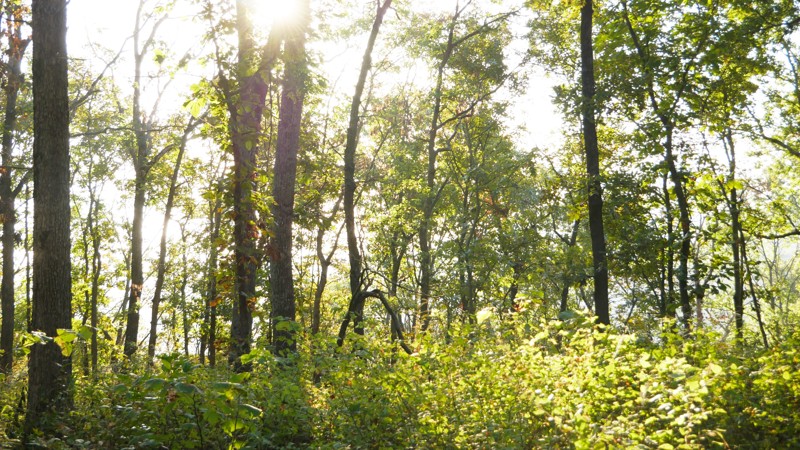 Missouri: Mountain Maid Road Hero Photo