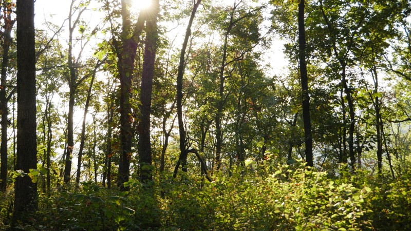 Mountain Maid Road Trail Review Photo