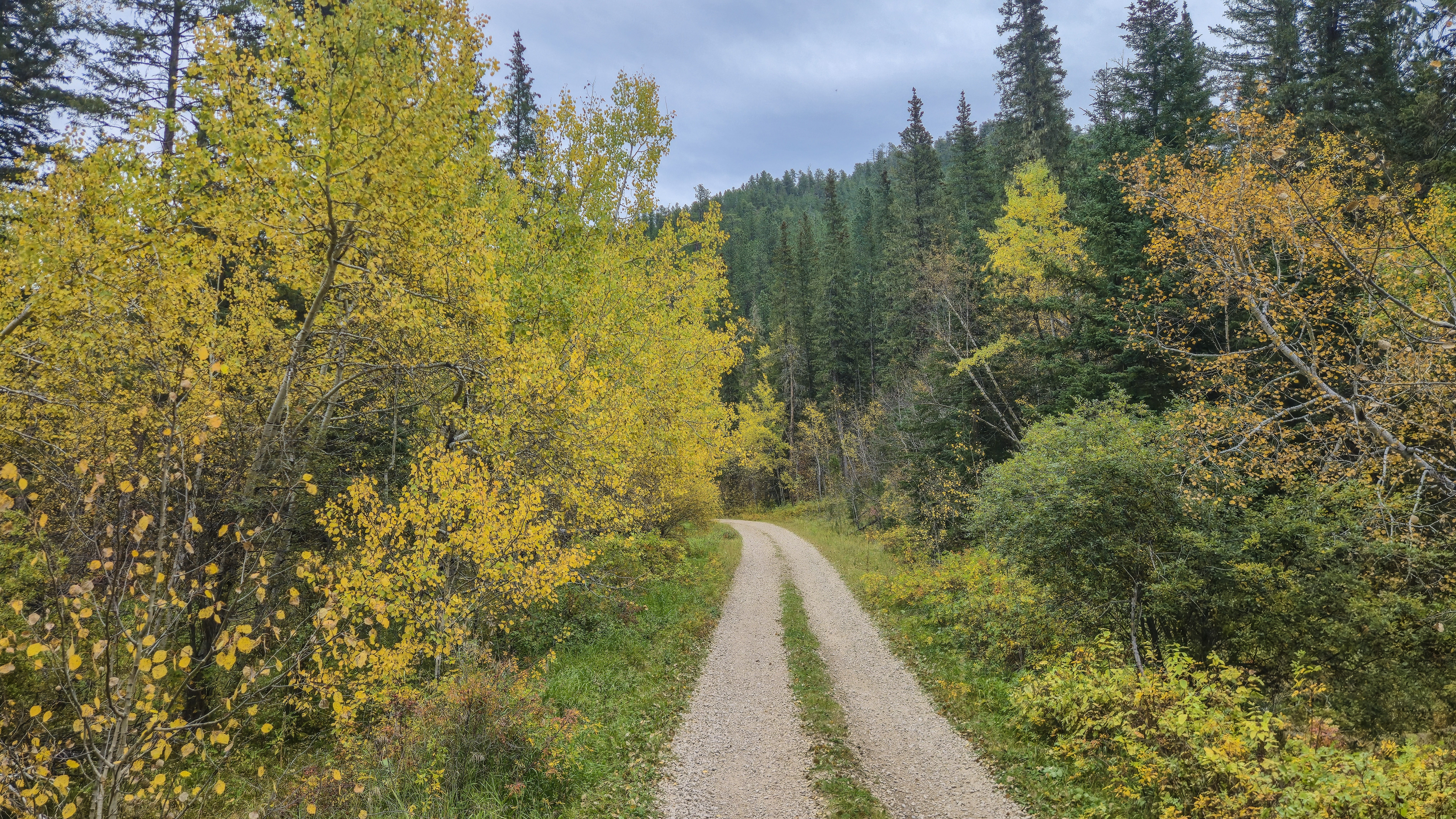Kelly Gulch - Beginner Trails