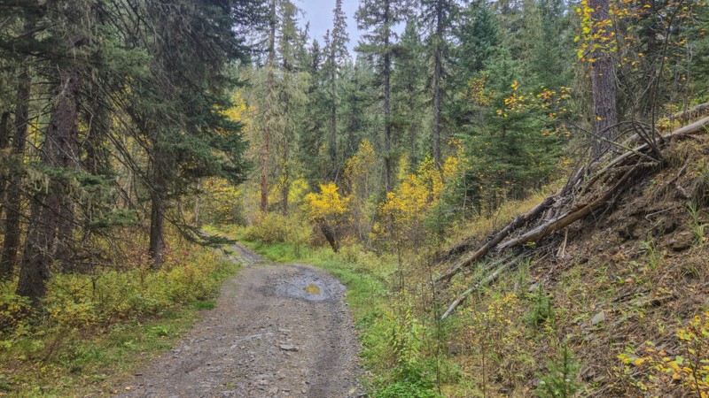 Kelly Gulch Trail Review Photo