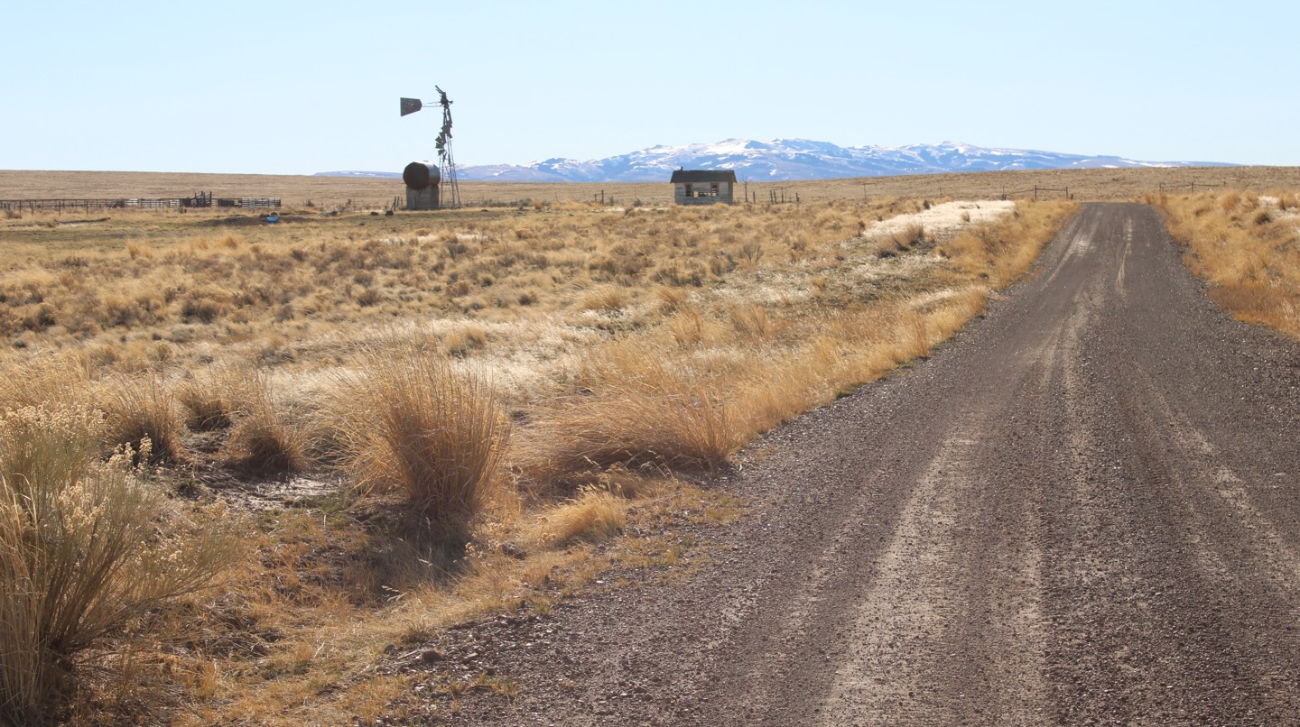 Hero: Grassy Hills Road