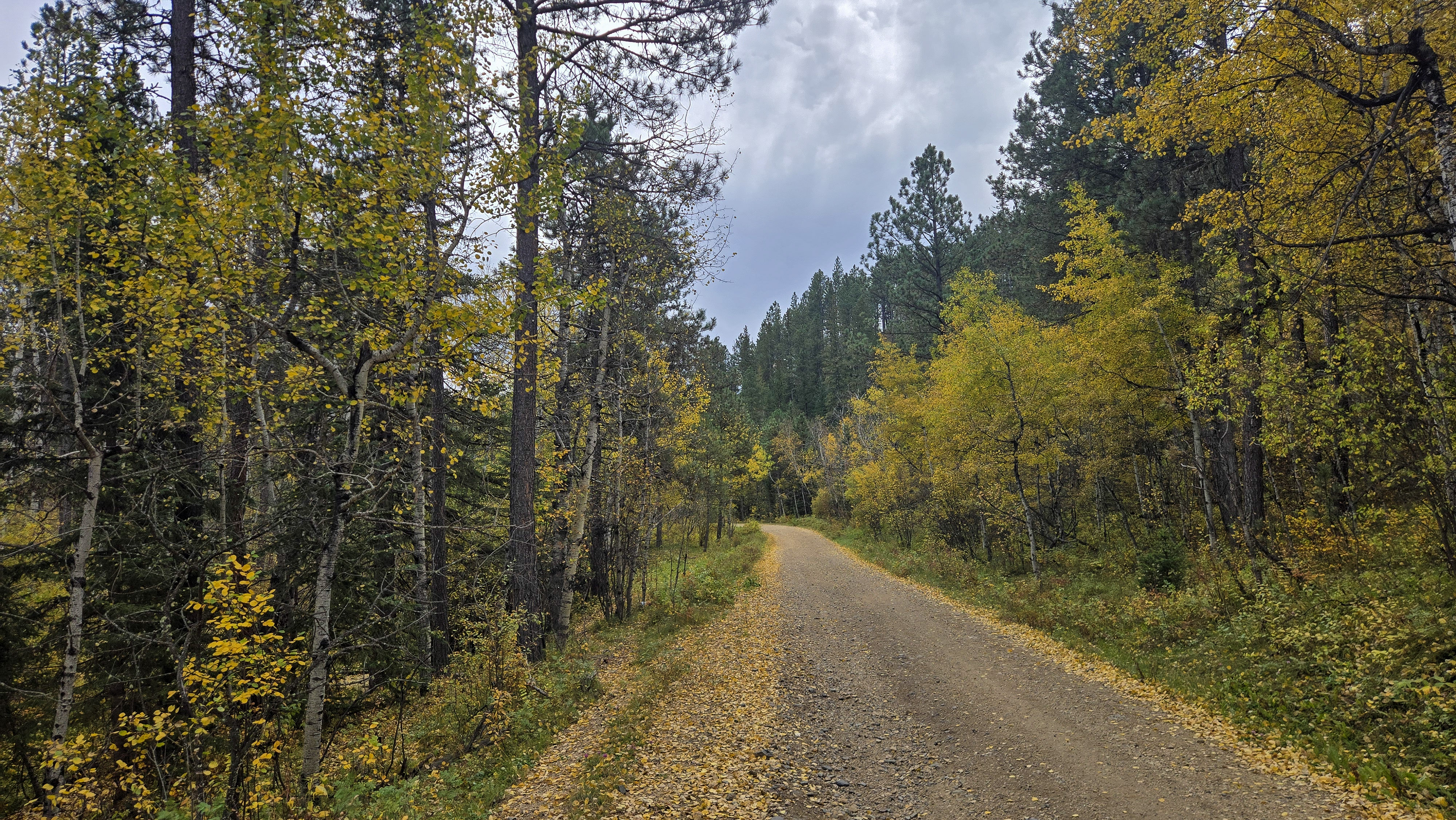 Broad Gulch - Beginner Trails
