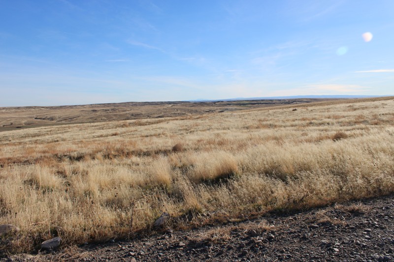 Kinyon Road Trail Review Photo