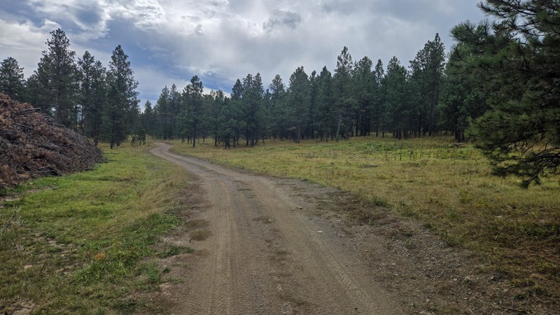 Merritt 07 Trail Review Photo