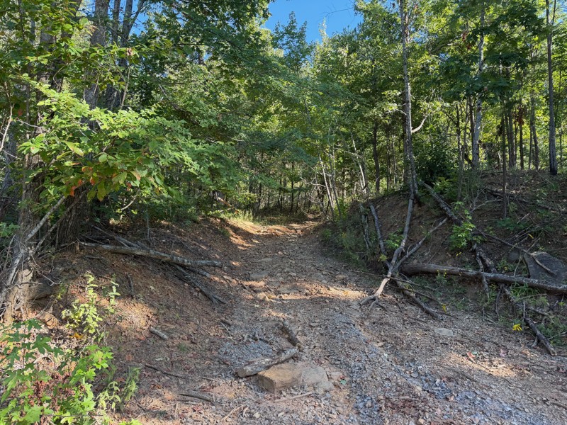 Deer Trap Trail Review Photo