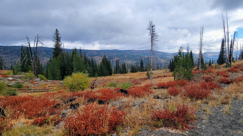 Elk Meadows Road Trail Review Photo