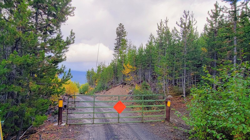 Elk Meadows Road Trail Review Photo