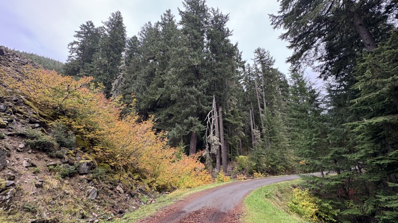 Bluff Trail Review Photo