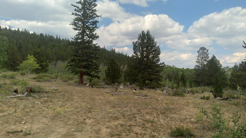 Round Hill Trail Review Photo