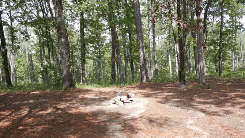 Shores Lake Road Trail Review Photo