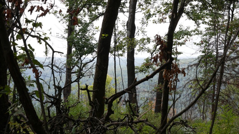 Potato Knob Trail Review Photo