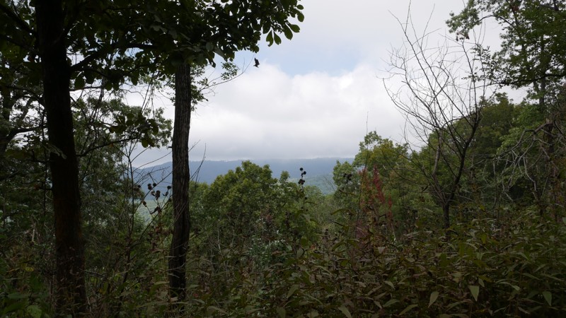 Potato Knob Trail Review Photo