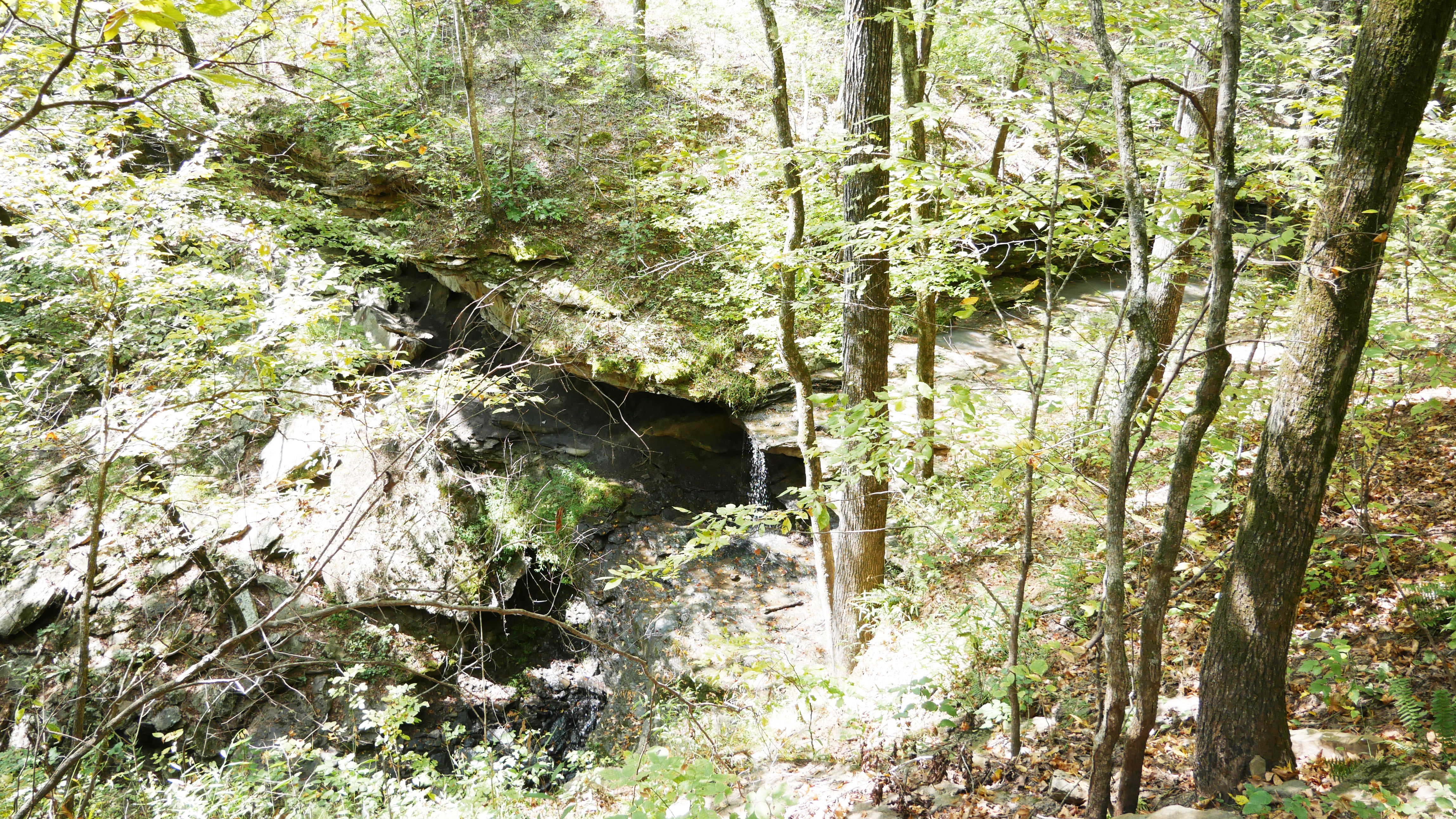 Fanes Creek Road - Beginner Trails
