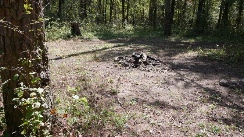 Fanes Creek Road Trail Review Photo