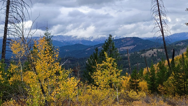 Idaho: Pine Creek Road Hero Photo