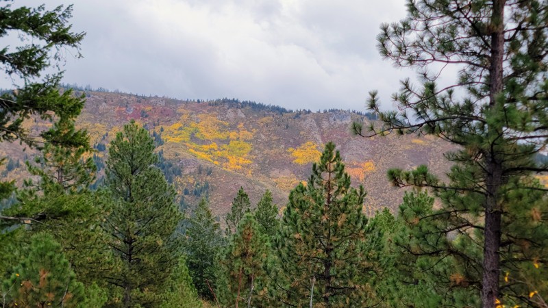 Elk Ridge Trail Review Photo