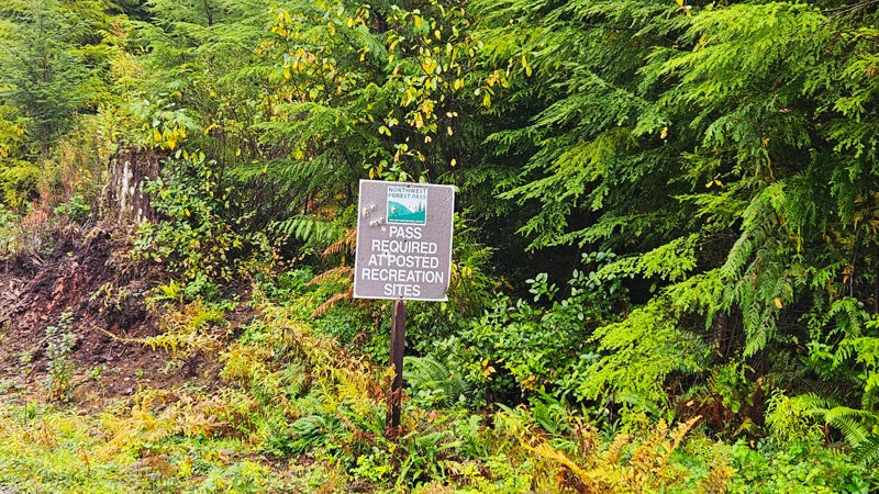 Newbury Creek Trail Review Photo