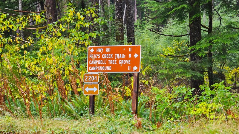 Pete's Creek Trail Trail Review Photo