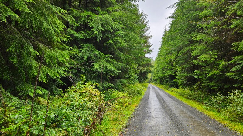 Pete's Creek Trail Trail Review Photo