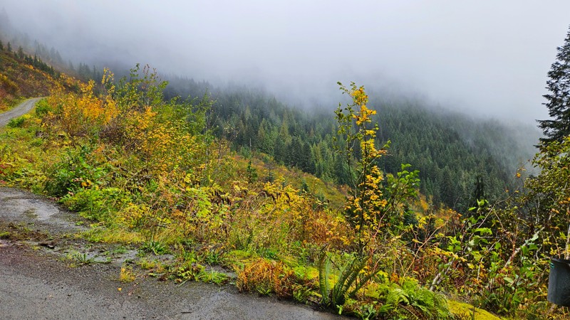 FS 2204-190 Trail Review Photo