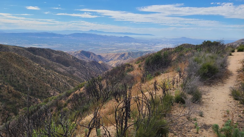 Alder Creek Trail Review Photo