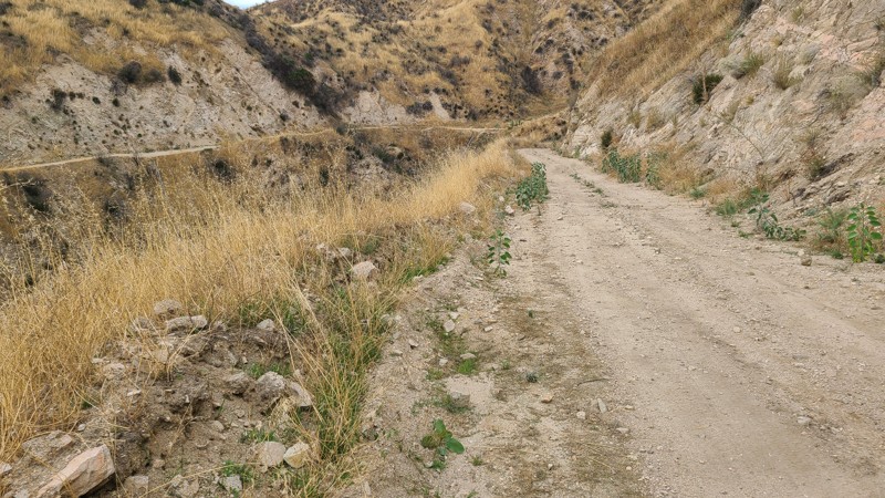 Alder Creek Trail Review Photo