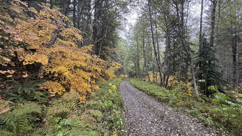 Washington: Divide Hero Photo