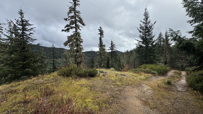 Willame Lake Trail Review Photo