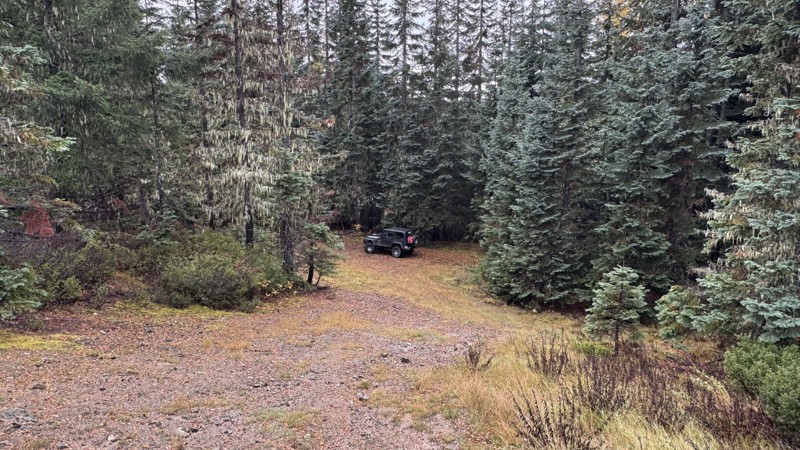 Willame Lake Trail Review Photo