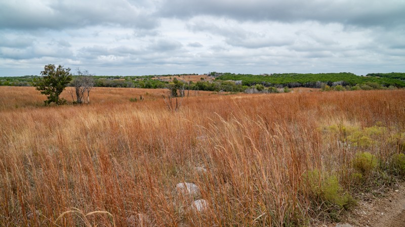 Longhorn loop Trail Review Photo