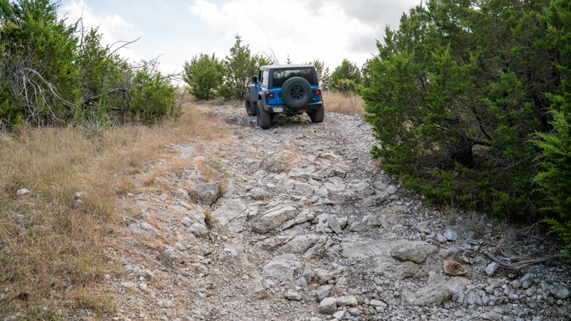 Wheeler Peak Trail Review Photo