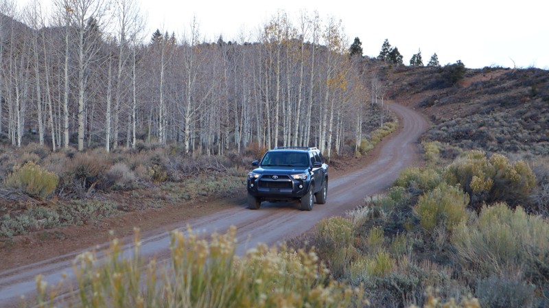 Thousand Lake Mountain Road Trail Review Photo