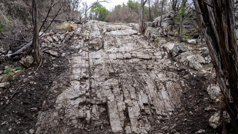 Oklahoma: O' Schmidt Hero Photo