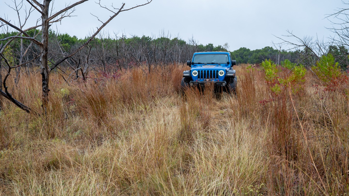 Hero: Bedlam Boulevard