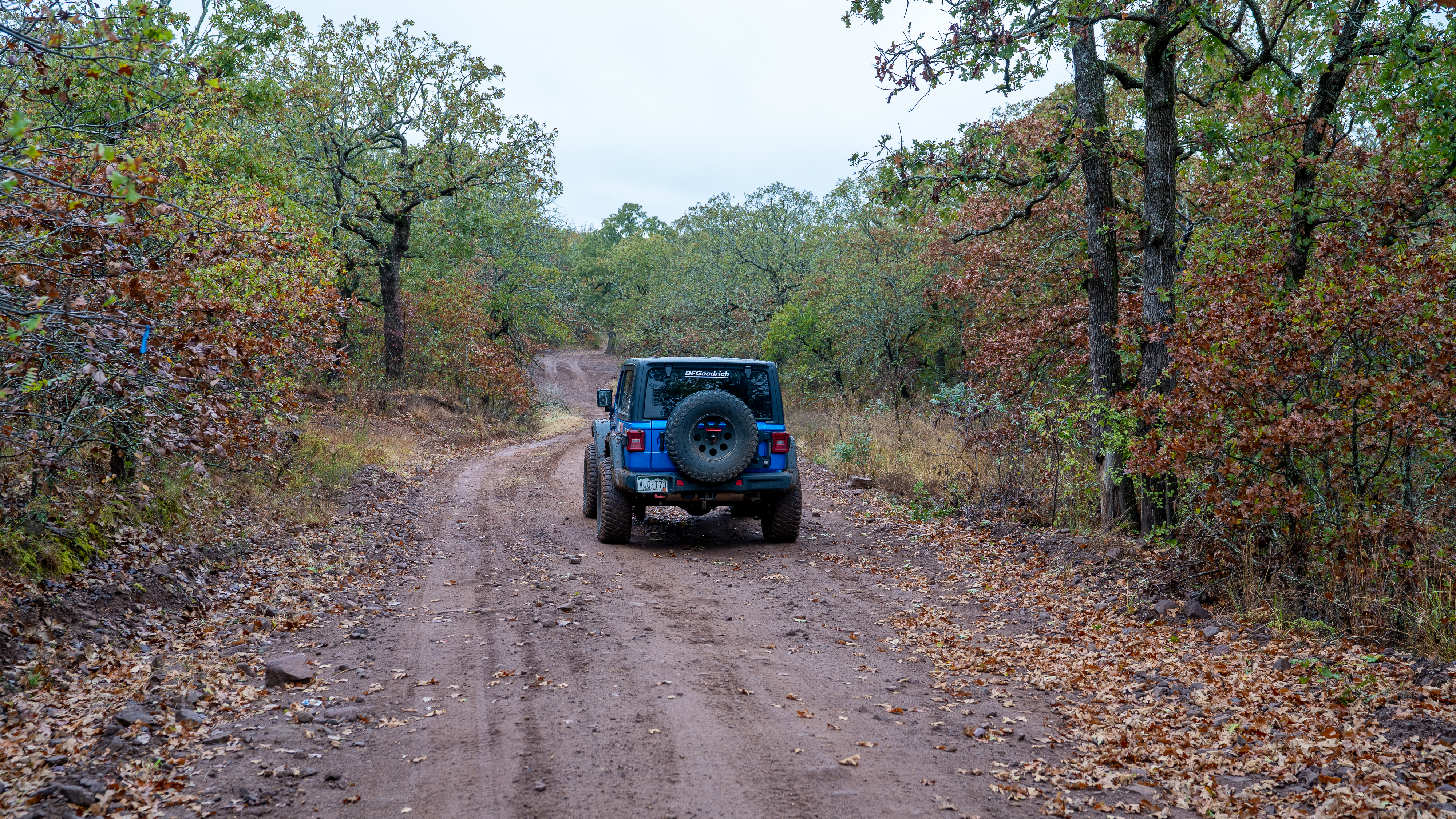 Wagon Wheel Road - Beginner Trails