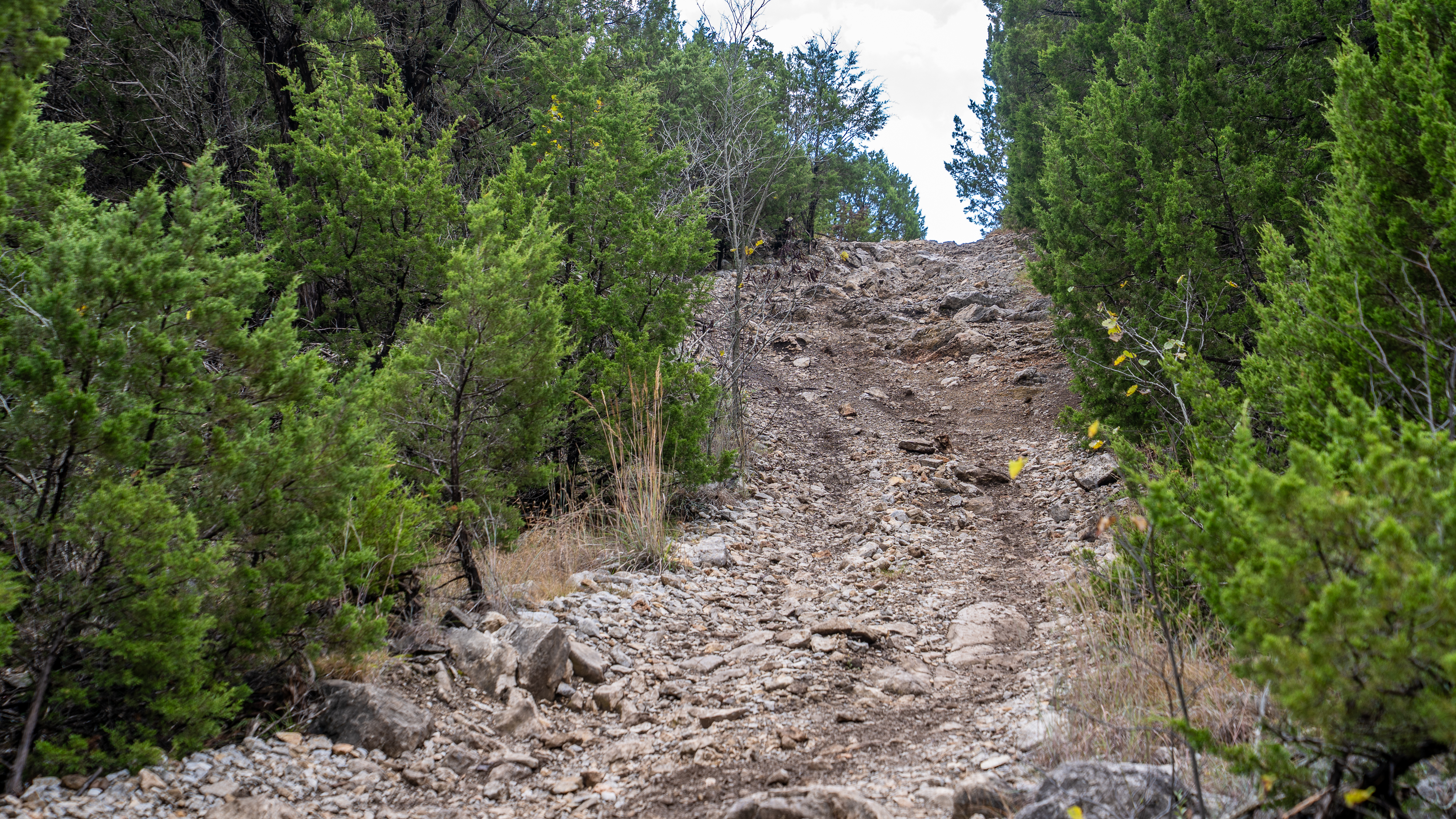 Loretta Alternate - Beginner Trails