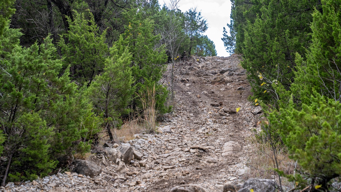 Hero: Loretta Alternate