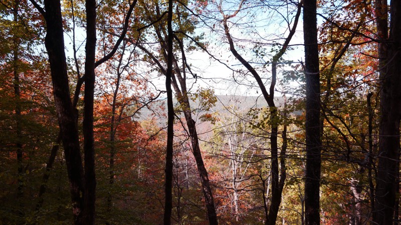 Arkansas: Parker Ridge Road Hero Photo