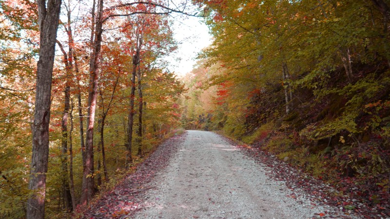 Parker Ridge Road Trail Review Photo