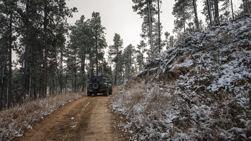 Mickey Trail Review Photo