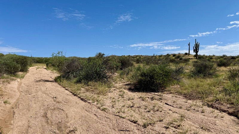 Sunrise Ridge Trail Review Photo