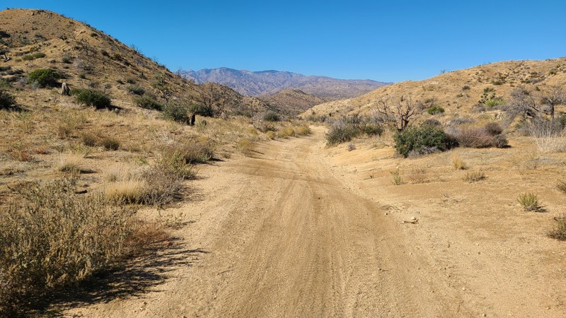 Elk Trail Trail Review Photo