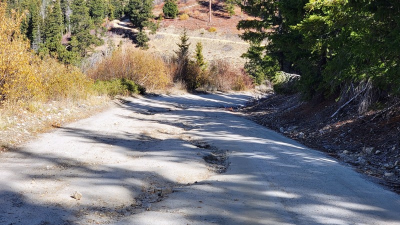 Harris Creek Summit Trail Review Photo