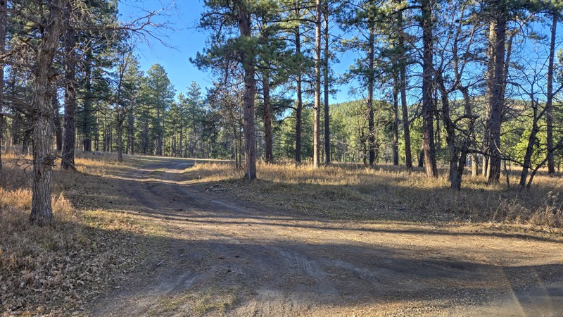 Boulder Hill Trail Review Photo