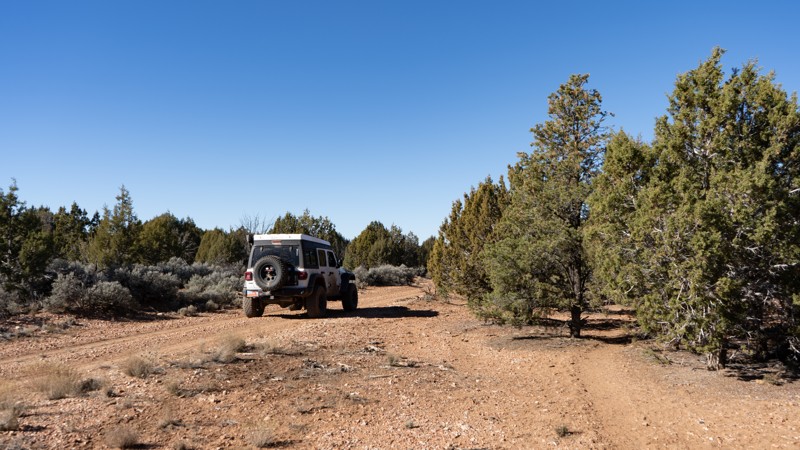 1039 Trail Review Photo