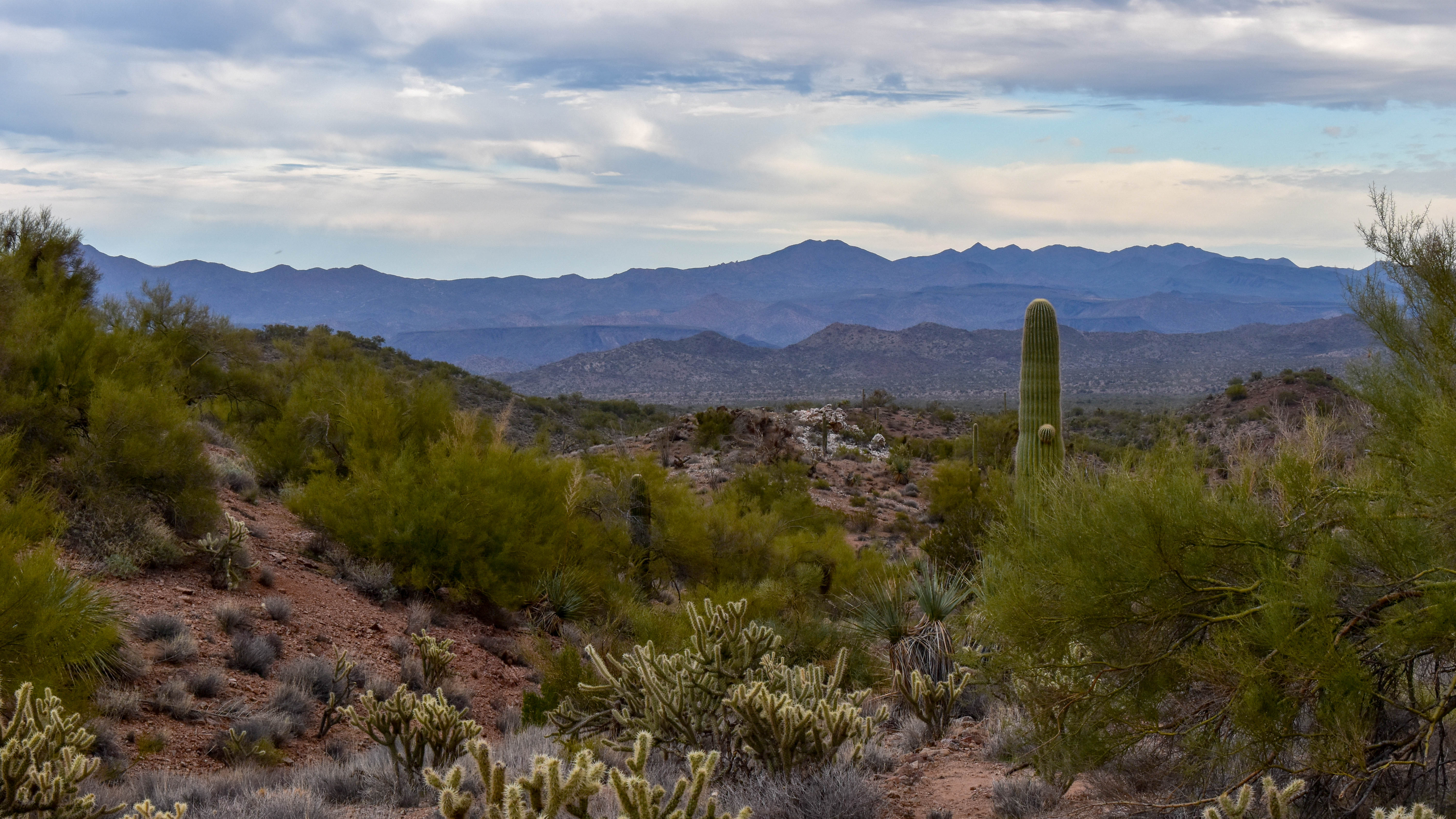 7463 and 7465 - Best Trails